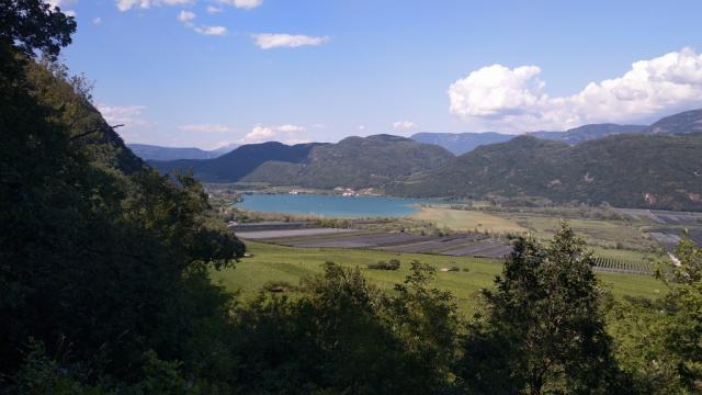 wir blicken zurück zum Kalterer See-Lago di Caldaro