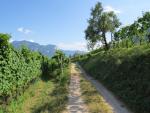 vor uns taucht unser Tagesziel Tramin-Termeno auf