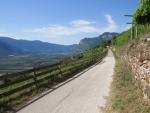 auf einem super schönen Höhenweg, wandern wir Richtung Kurtatsch-Cortaccia an der Weinstrasse
