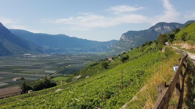 ...und bestaunen die grossartige Aussicht auf das Etschtal-Adige