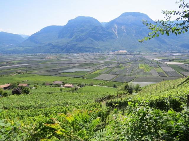was für eine Aussicht auf die Ebene des Adige