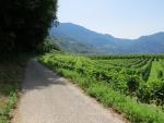 wir lassen das kleine Dorf hinter uns wandern nun unserem Tagesziel Salorno entgegen