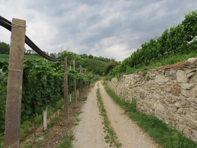 die Variante bedeutet mehr Höhenmeter, ist aber ungleich schöner als der Hauptweg in der Talebene