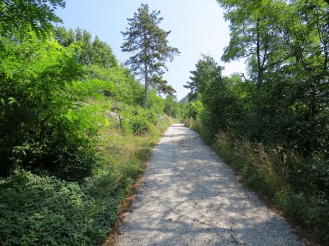 ...die nächsten 4 Etappen wandern wir durch das Valsugana