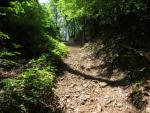 der Wanderweg führt weiter aufwärts...