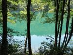 ...bis vor uns zwischen den Bäumen ersichtlich, der Lago di Levico auftaucht