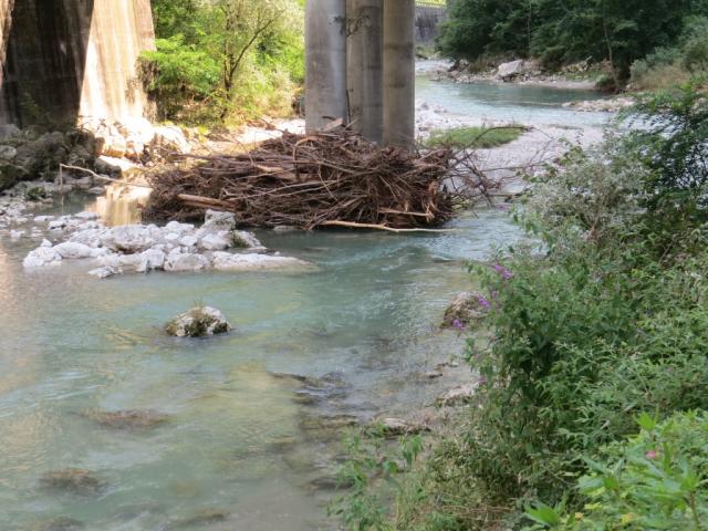 die Brenta wird in einem schmalen Flussbett gezwängt. Am Schwemmholz erkennt man die Kraft der Brenta