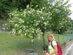 meine Maus und ich lieben Blumen