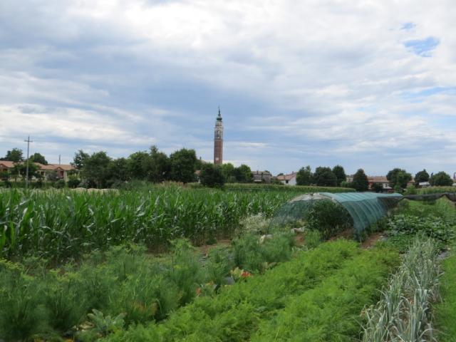 der hohe Glockenturm von Bessica zeigt uns die Richtung an