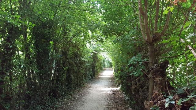 des weiteren wandern wir auch auf dem Cammino del beato Enrico und die Via Postunia