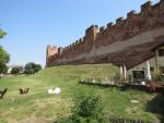 wir bestaunen nochmals die wuchtige Befestigungsanlage von Castelfranco Veneto...