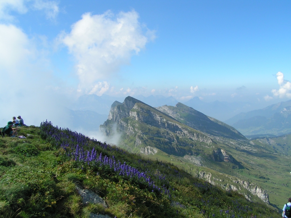 Blick Richtung Wart, Schäären