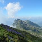 Blick Richtung Wart, Schäären