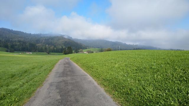 wir wandern an saftigen Weiden...