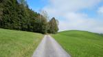 der schöne Wanderweg schlängelt sich am Höliwald entlang Richtung Brunegg