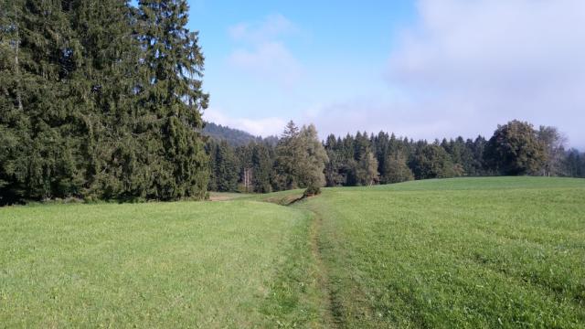 die Landschaftlich sehr reizvolle Etappe im Herzen des Zugerlandes