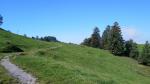 über die hügelige Zugerlandschaft wandern wir von Hügel zu Hügel