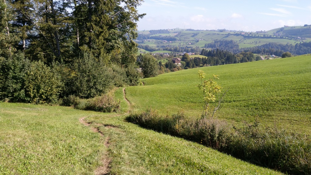 wir übequeren die Ausläufer des Zugerbergs