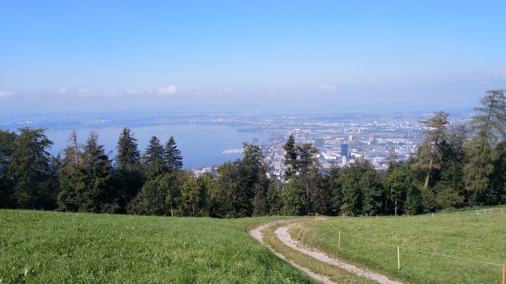 ...tauchen wir in den Wald von Chämistal ein