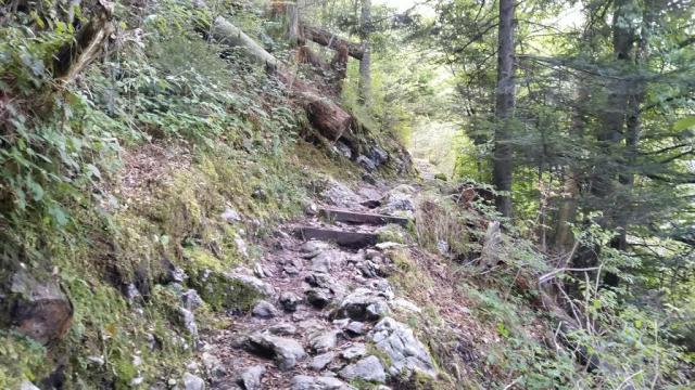 ruppig und rutschig ist nun der Wanderweg