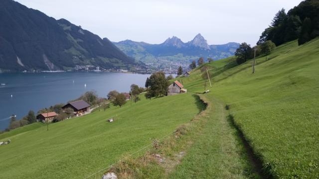 auf der anderen Seeseite begegnen uns über dem Schwyzer Talkessel die Mythen