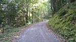 wir unterqueren die Treib-Seelisberg-Bahn und wandern bei einer starken Rechtskurve geradeaus in den Wald