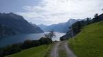 unser Blick schweift neu über den Urnersee