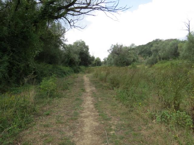 wir durchqueren den Park und können es fast nicht glauben das nur noch ein paar Km. zum Petersdom fehlen