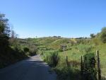 schnell liegt Monterotondo hinter uns, und wir wandern über eine grüne Landschaft...