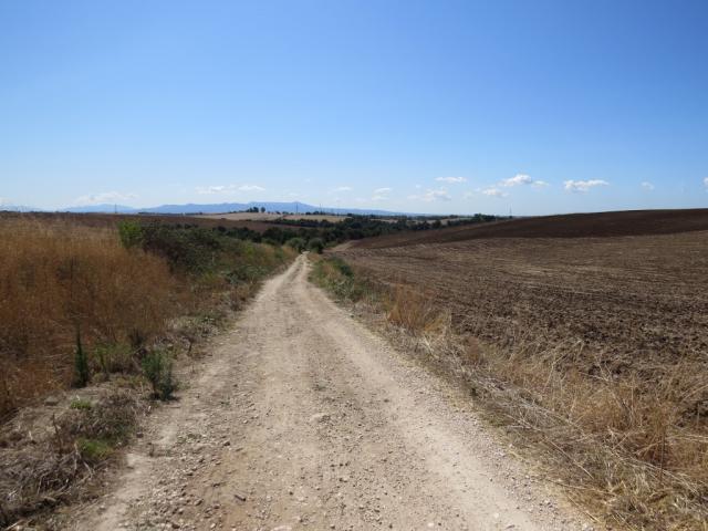 endlos zieht sich die Kiesstrasse durch die Felder