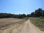 schön schlängelt sich der Weg zwischen Äcker und Wälder Richtung Rom