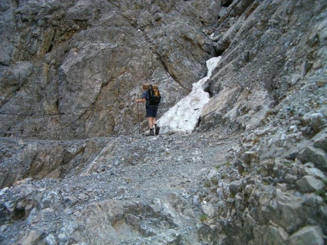 Mäusi begutachtet den Schnee