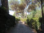 immer wieder zweigen links und rechts von der Via Appia Antica, Privat Strassen zu Villen ab