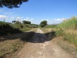 bei Frattocchie ist endgültig schluss mit laufen auf der Via Appia Antica