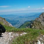 Blick ins Rheintal und Bodensee