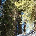 noch ein paar Schritte und Pirigen ist erreicht