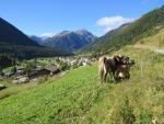 wir blicken zurück nach Lavin. Am Horizont erkennen wir Piz Arpschella, Piz dal Ras und Piz Murterchömbel