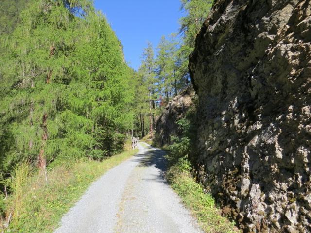 abkürzend über den Wanderweg, oder abschnittsweise auf der Alpstrasse...