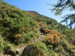 in der Falllinie an der Westflanke des Piz Chapisun steigen wir weiter aufwärts...