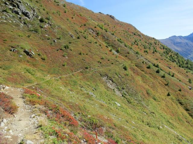 der schöne Höhenweg 2238 m.ü.M. führt uns nun alles der Alp Funtanivas entlang...