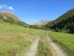 bei Clüs 1840 m.ü.M. wechseln wir die Talseite und überqueren bei Prasüras 1796 m.ü.M. den Clozzabach