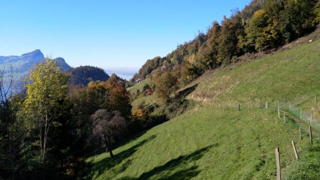 weiter auf diesem schönen Höhenweg bleibend, wandern wir Richtung Vitznau