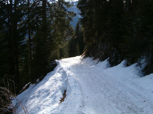 Fahrstrasse Richtung Langwies