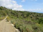 der Wanderweg führt uns durch eine schöne macchia mediterranea