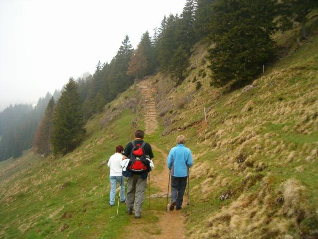 weiter Richtung Kronberg