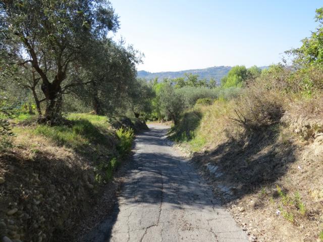 wunderschön zieht sich der Wanderweg durch die Landschaft