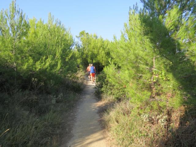 ...führt uns die Via della Costa durch Pinienwälder