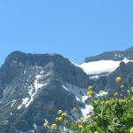 Alpenkranz Uri Teil 1 Wolfenschiessen-Haldigrat-Brisen-Gitschenen-Biwaldalp-Sassigrat 19.6. - 20.6.2005