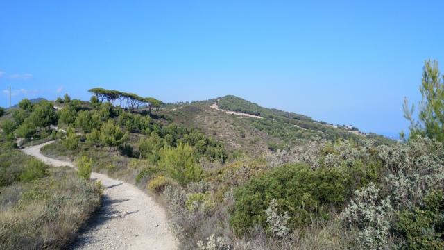 der Wunderschöne Wanderweg, führt nun alles am Bergrücken entlang zum Poggio Balaie