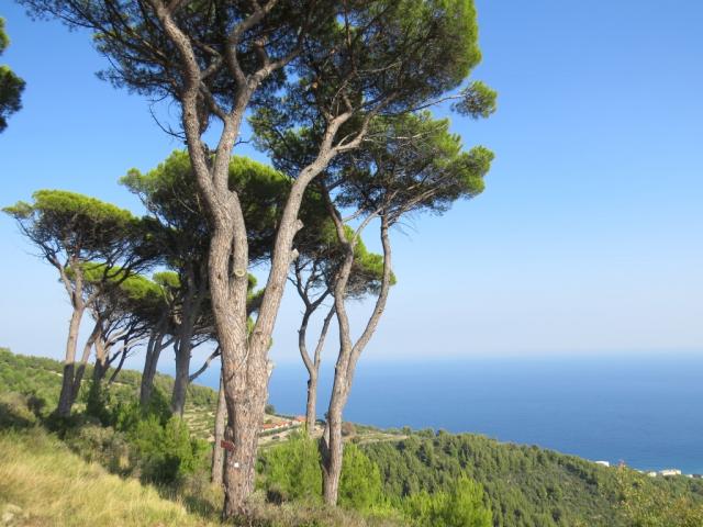 was für ein Ausblick auf das Meer!